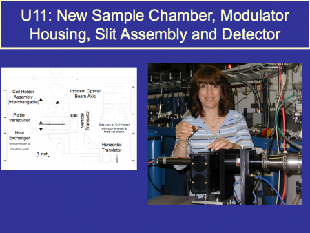 Denise Monteleone at the U11 beamline